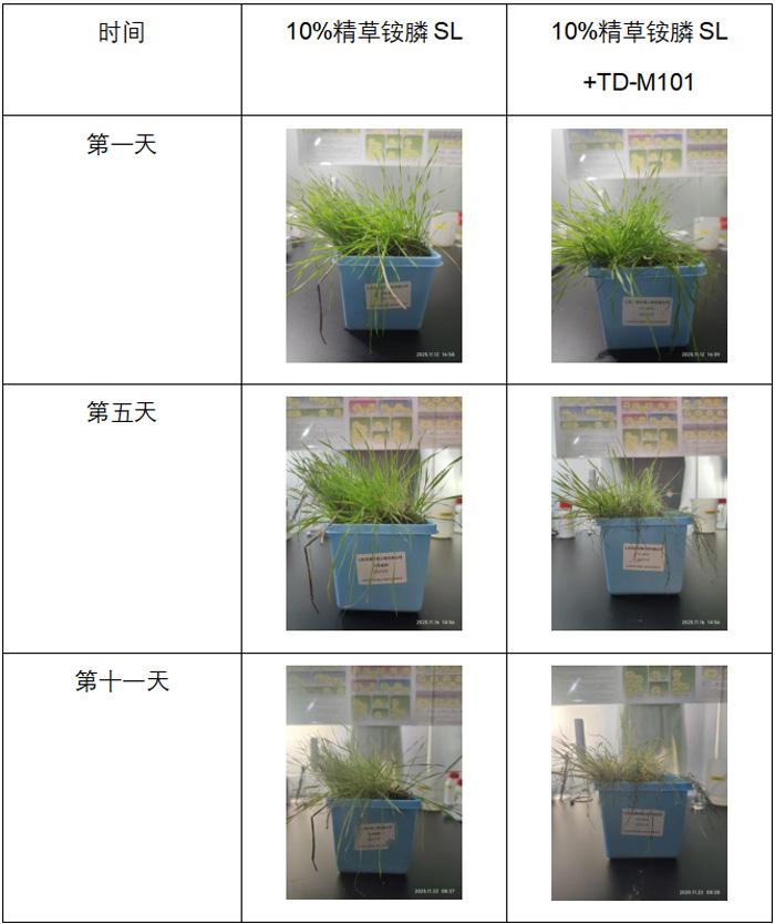 微信图片_20260414111219_2606_12.jpg